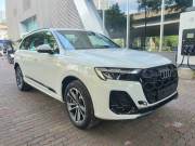 Bán xe Audi Q7 2024 45 TFSI Quattro S Line giá 3 Tỷ 850 Triệu - TP HCM