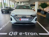 Bán xe Audi Q8 2024 E-tron 55 Quattro Advanced giá 3 Tỷ 800 Triệu - TP HCM