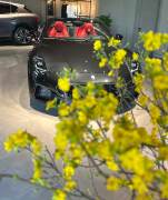 Bán xe Maserati GranTurismo Trofeo 2024 giá 17 Tỷ 800 Triệu - TP HCM