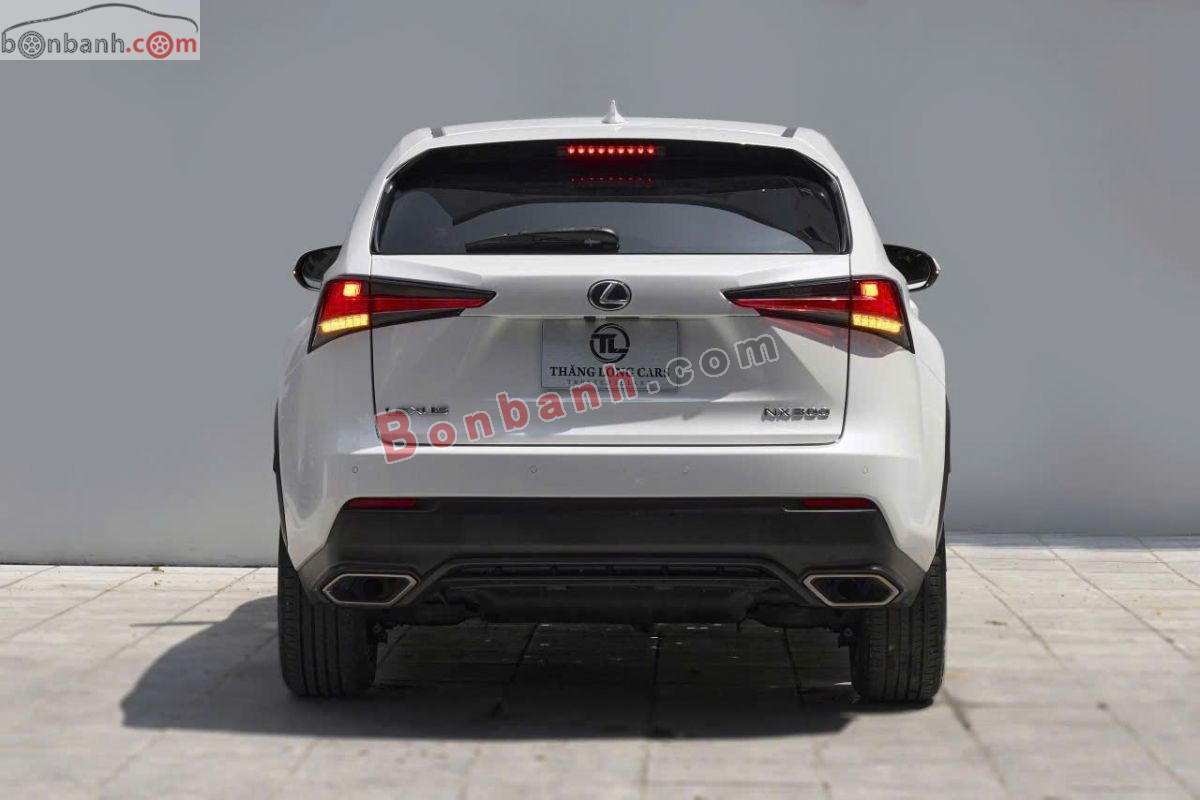 Lexus NX 300 2018 - 1 Tỷ 480 Triệu 4