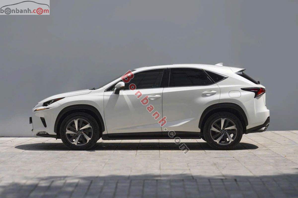 Lexus NX 300 2018 - 1 Tỷ 480 Triệu 3