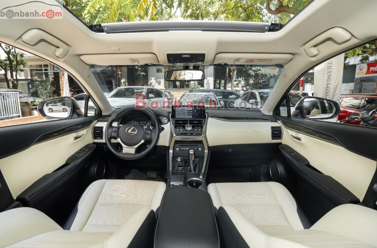 Lexus NX 300 2018 - 1 Tỷ 480 Triệu 8