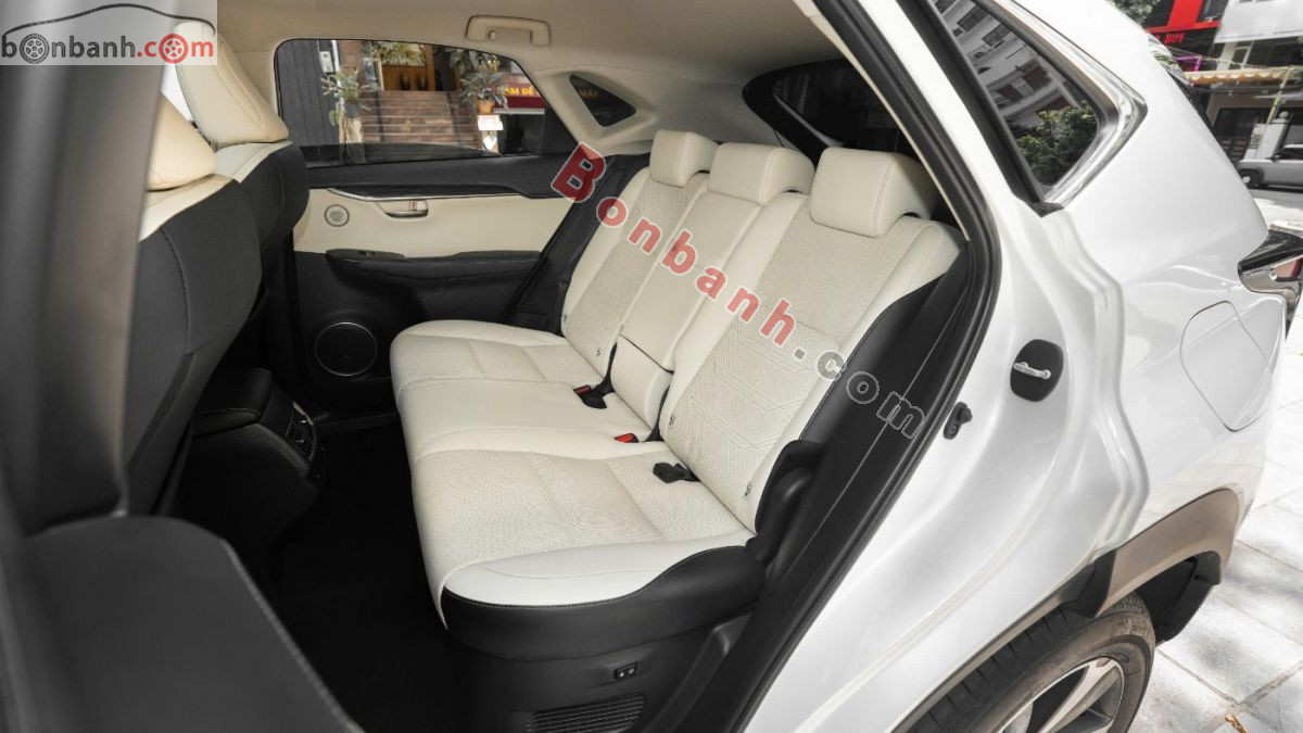Lexus NX 300 2018 - 1 Tỷ 480 Triệu 10