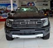 Bán xe Ford Ranger 2024 Raptor 2.0L 4x4 AT giá 1 Tỷ 299 Triệu - Bình Dương