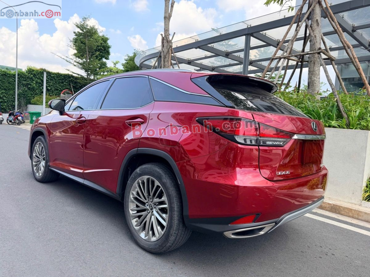 Lexus RX 300 2021 - 2 Tỷ 399 Triệu 3