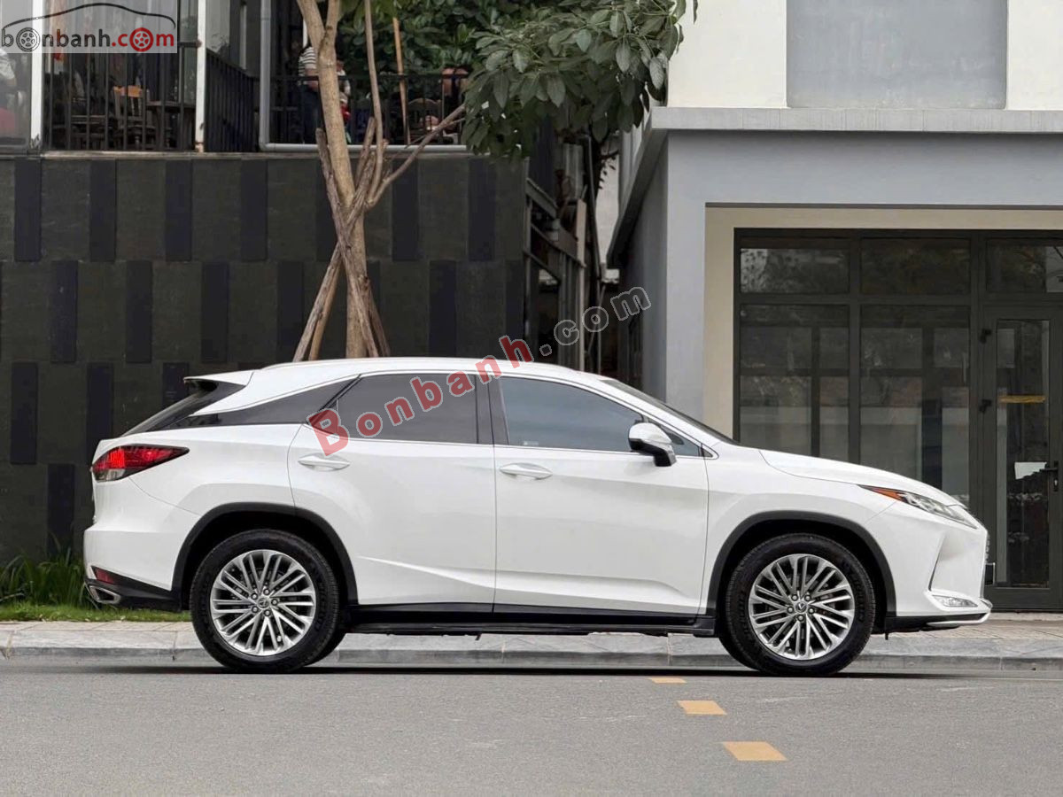 Lexus RX 300 2021 - 2 Tỷ 580 Triệu 3