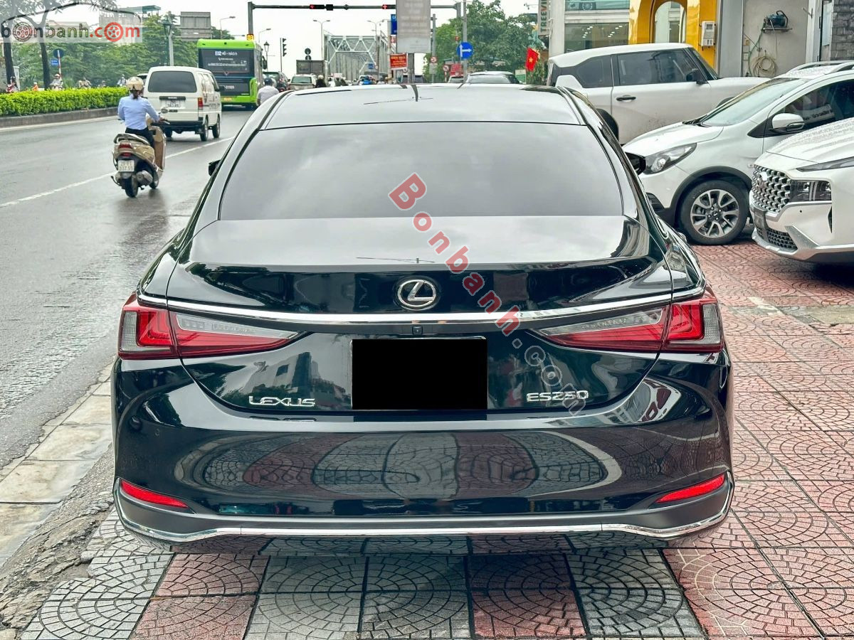Lexus ES 250 2022 - 1 Tỷ 950 Triệu 3
