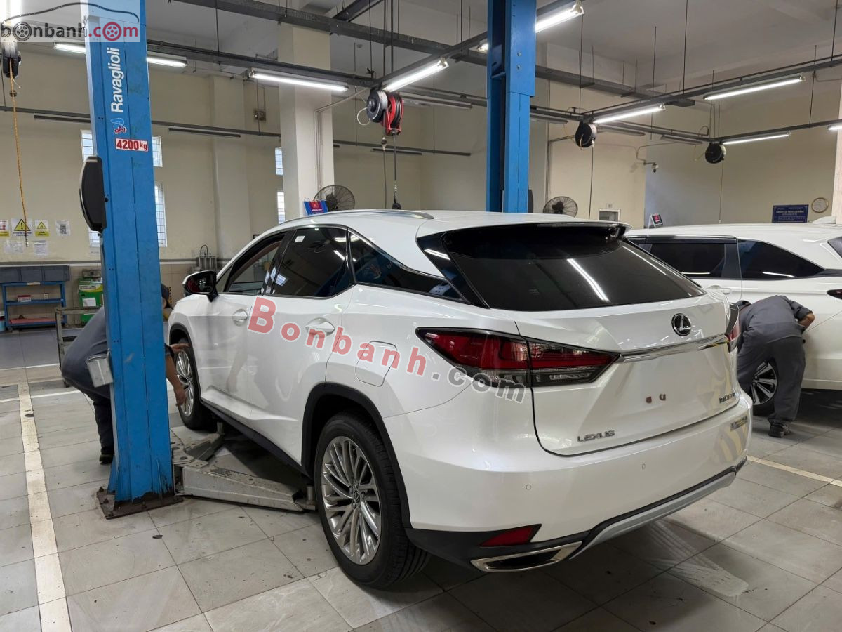 Lexus RX 300 2020 - 2 Tỷ 390 Triệu 2
