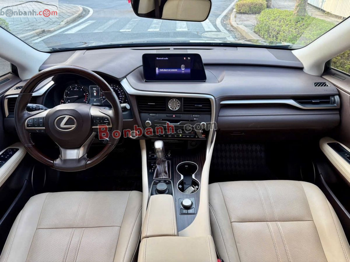 Lexus RX 300 2019 - 1 Tỷ 979 Triệu 10