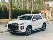 Bán xe Hyundai Palisade 2023 Exclusive 2.2 AT giá 1 Tỷ 398 Triệu - Hà Nội