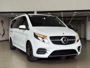 Bán xe Mercedes Benz V class V250 AMG 2023 giá 2 Tỷ 398 Triệu - TP HCM