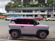 can ban xe oto cu lap rap trong nuoc VinFast VF3 Eco 2024