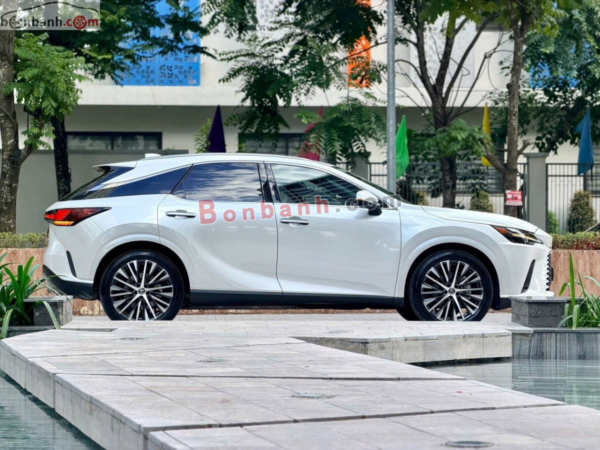 Lexus RX 350 Premium 2025 - 3 Tỷ 439 Triệu 3