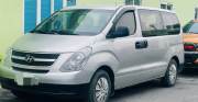 Bán xe Hyundai Grand Starex 2.5 MT 2007 giá 296 Triệu - Nghệ An