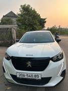 Bán xe Peugeot 2008 2021 Active 1.2 AT giá 615 Triệu - Thái Nguyên