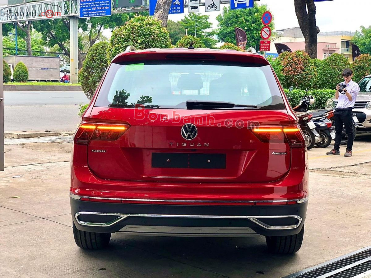 Ảnh số 11