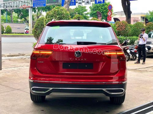 Ảnh số 12