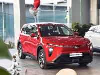 Bán xe VinFast Limo Green 2026 AT giá 610 Triệu - TP HCM