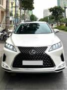 Bán xe Lexus RX 300 2020 giá 2 Tỷ 489 Triệu - TP HCM