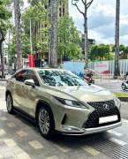 Bán xe Lexus RX 2019 300 giá 2 Tỷ 180 Triệu - TP HCM