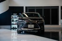 Bán xe Lexus NX 2021 300 giá 1 Tỷ 999 Triệu - TP HCM