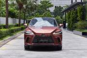 Bán xe Lexus RX 350h Luxury 2026 giá 4 Tỷ 140 Triệu - Hà Nội