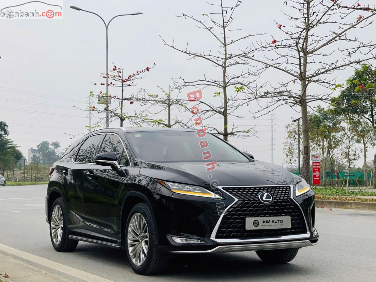Lexus RX 300 2021 - 2 Tỷ 739 Triệu 2
