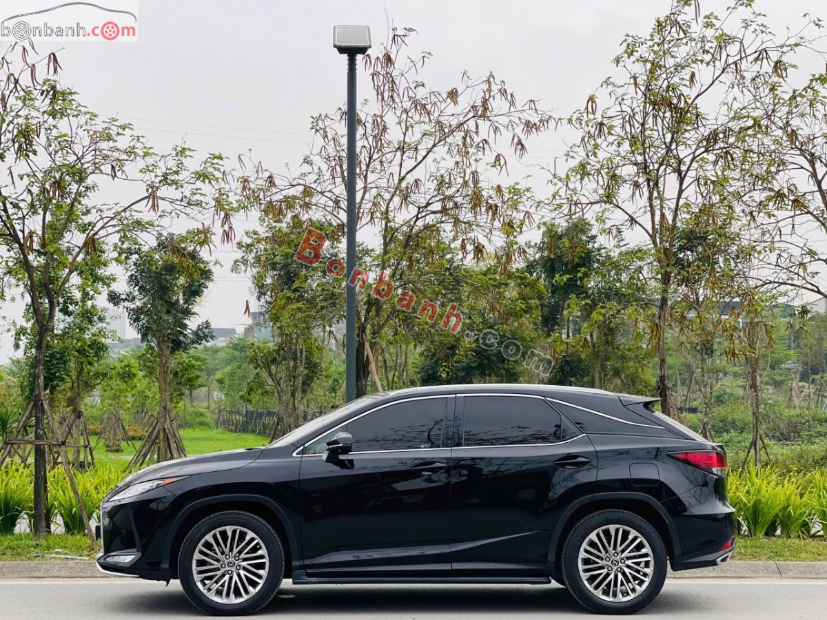 Lexus RX 300 2021 - 2 Tỷ 739 Triệu 3