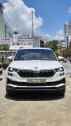 Bán xe Skoda Karoq 2024 Style 1.4 AT giá 799 Triệu - TP HCM
