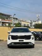 Bán xe Kia Carnival 2025 Luxury 2.2D giá 1 Tỷ 274 Triệu - TP HCM