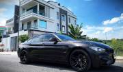 Bán xe BMW 4 Series 2014 428i Gran Coupe giá 690 Triệu - TP HCM