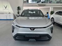 Bán xe VinFast Limo Green 2026 AT giá 650 Triệu - TP HCM