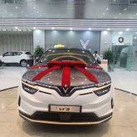 Bán xe VinFast VF8 2025 Plus giá 1 Tỷ 199 Triệu - TP HCM