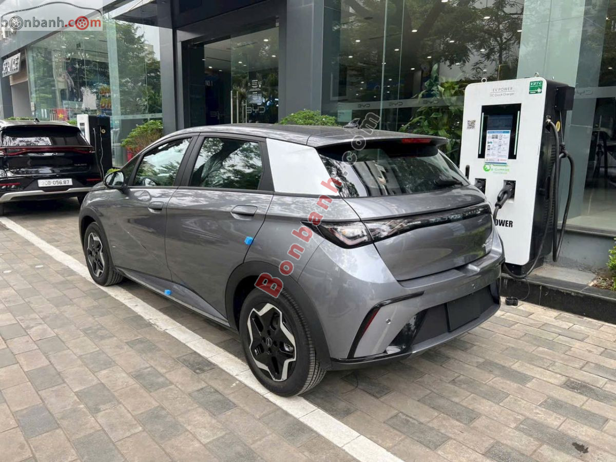 BYD Dolphin GLX 2026 - 495 Triệu 4