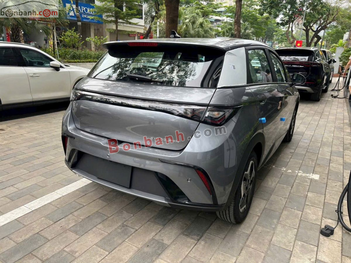 BYD Dolphin GLX 2026 - 495 Triệu 6