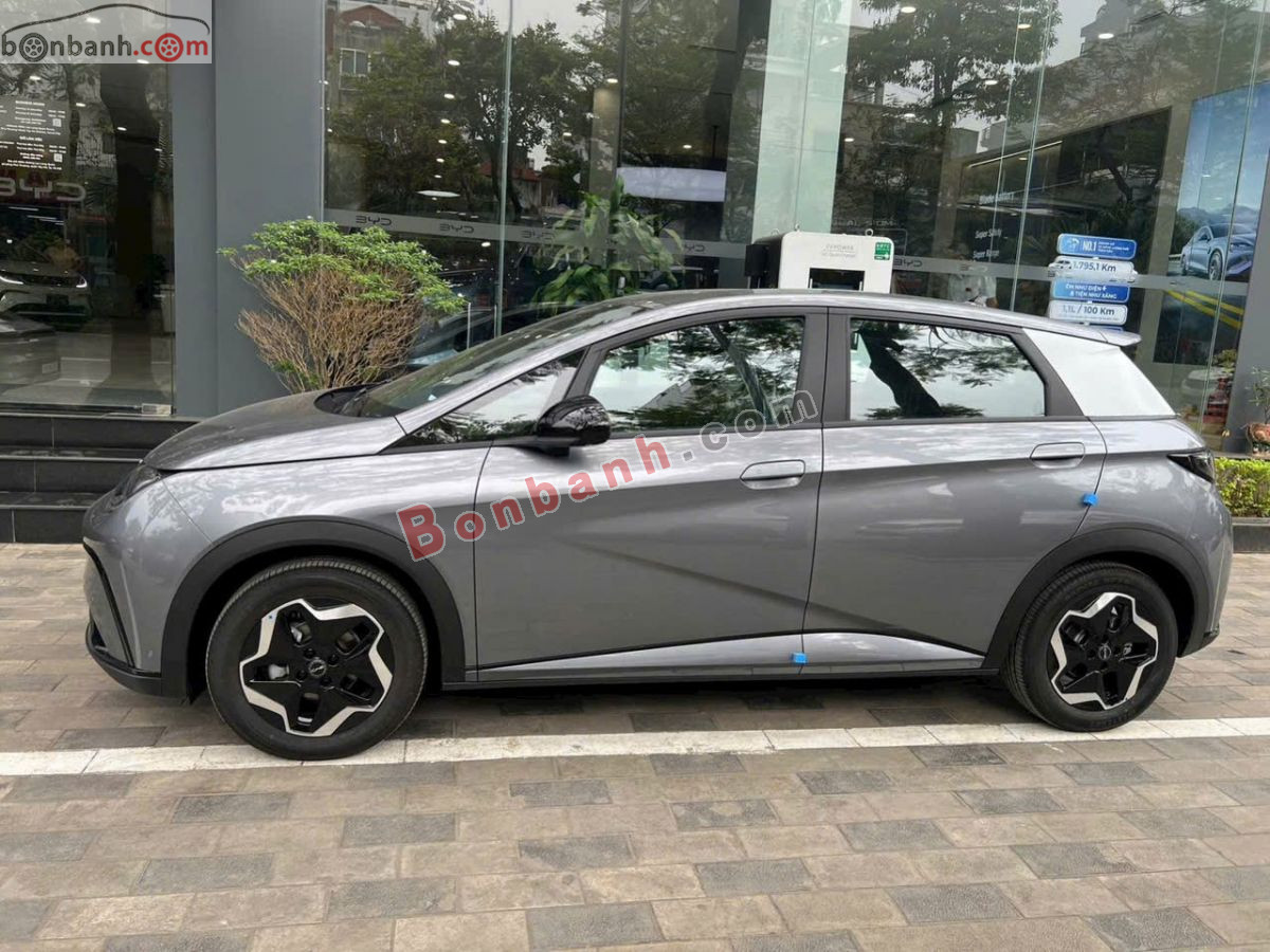 BYD Dolphin GLX 2026 - 495 Triệu 3