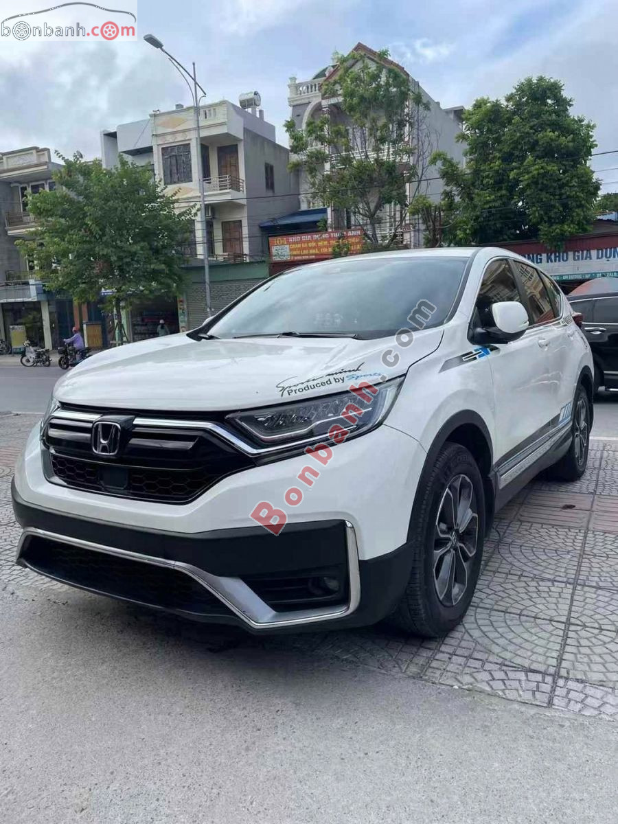 Ảnh số 5