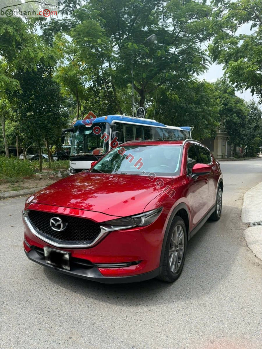 Ảnh số 17