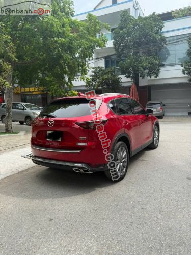 Ảnh số 12