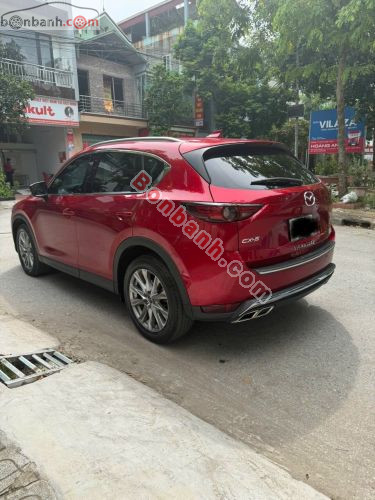 Ảnh số 6