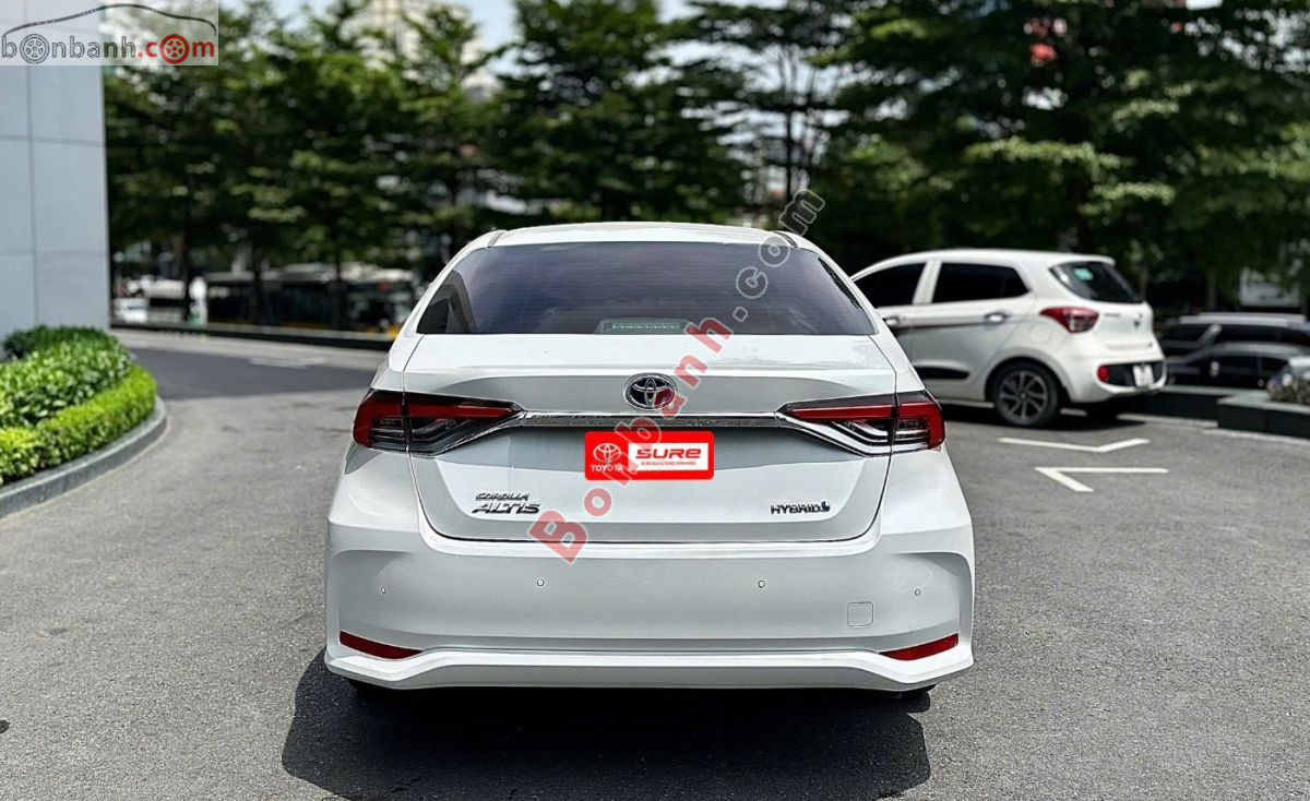 Ảnh số 3