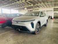 Bán xe VinFast Limo Green 2025 AT giá 677 Triệu - TP HCM