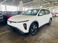 Bán xe VinFast Limo Green 2026 AT giá 692 Triệu - TP HCM