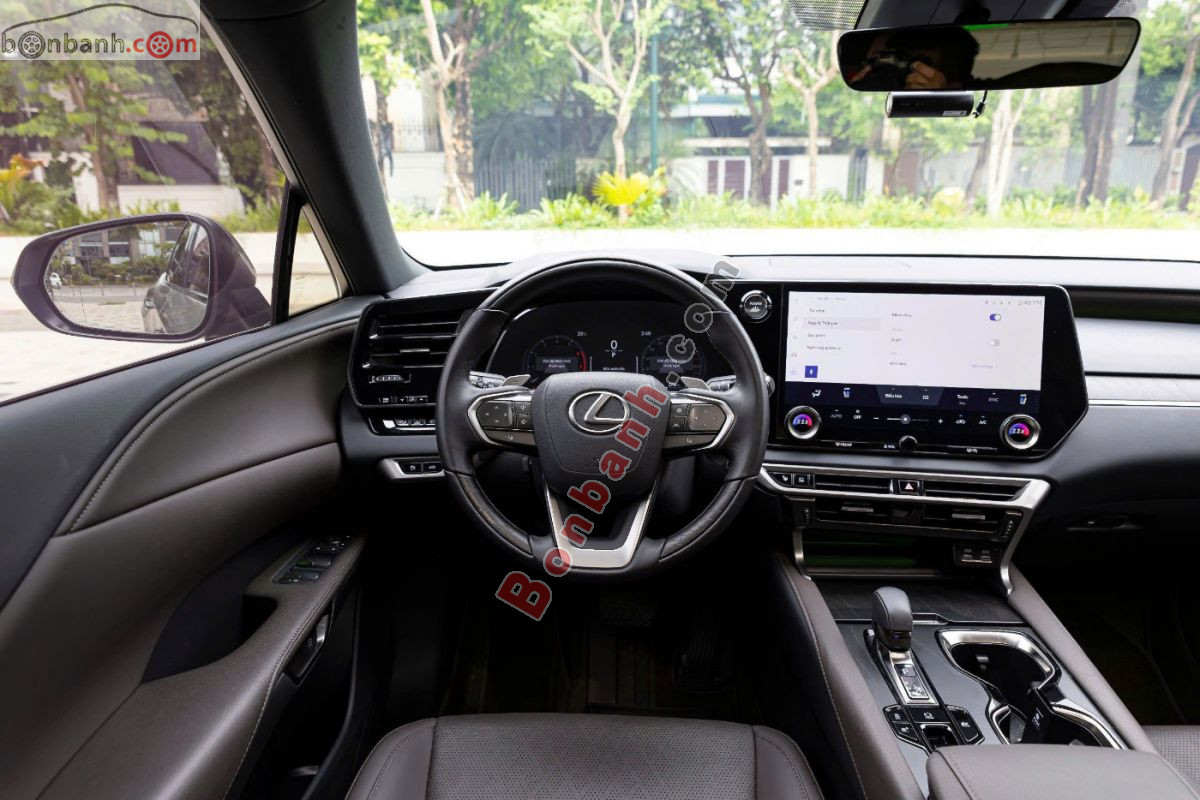 Lexus RX 350h Premium 2026 - 3 Tỷ 539 Triệu 10