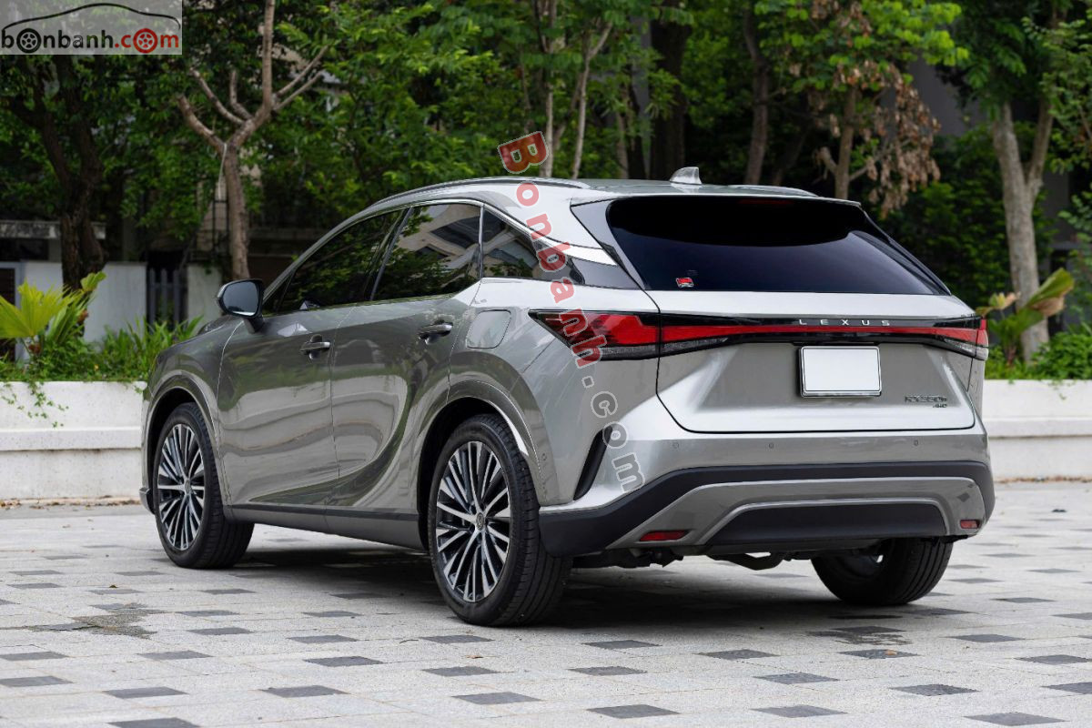 Lexus RX 350h Premium 2026 - 3 Tỷ 539 Triệu 5