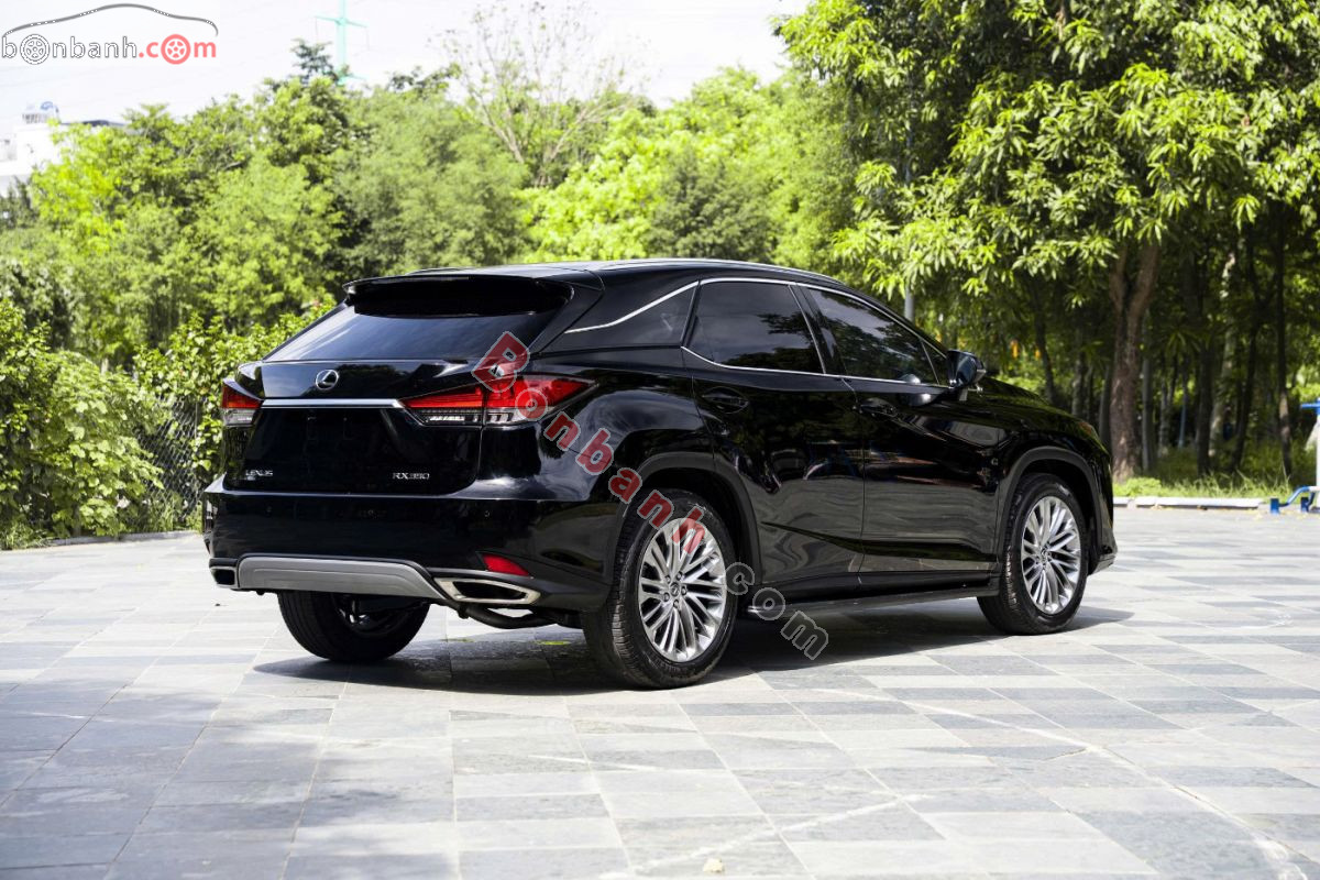 Lexus RX 350 2019 - 2 Tỷ 750 Triệu 4