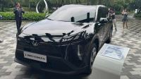 Bán xe VinFast Limo Green 2026 AT giá 704 Triệu - TP HCM