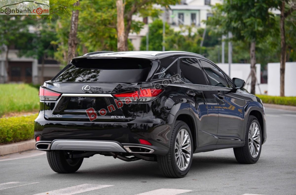 Lexus RX 300 2019 - 2 Tỷ 350 Triệu 4