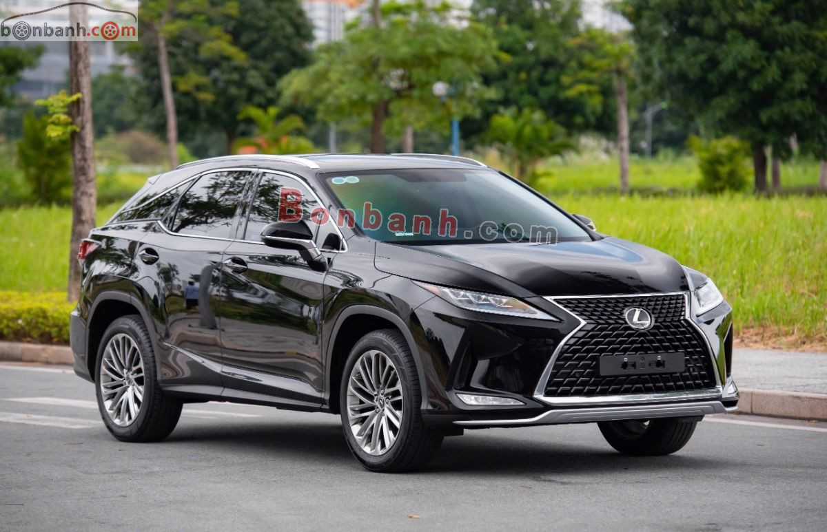 Lexus RX 300 2019 - 2 Tỷ 350 Triệu 3