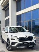 Bán xe Skoda Kushaq 2025 Style 1.0 TSI AT giá 649 Triệu - TP HCM